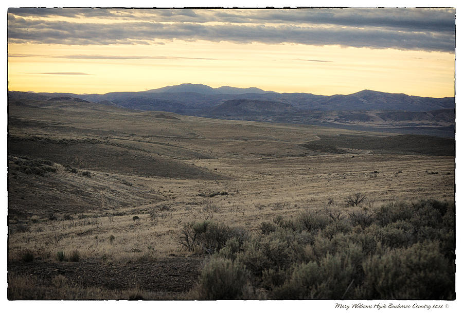 TS Ranch view 1 Photograph by Mary Williams Hyde - Fine Art America