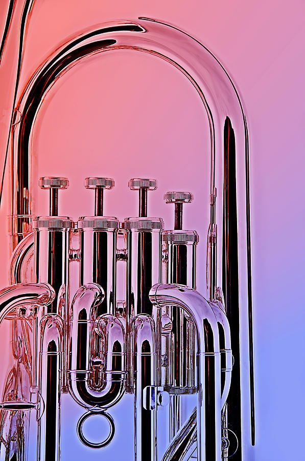 Tuba Euphonium Valves Isolated Photograph by M K Miller
