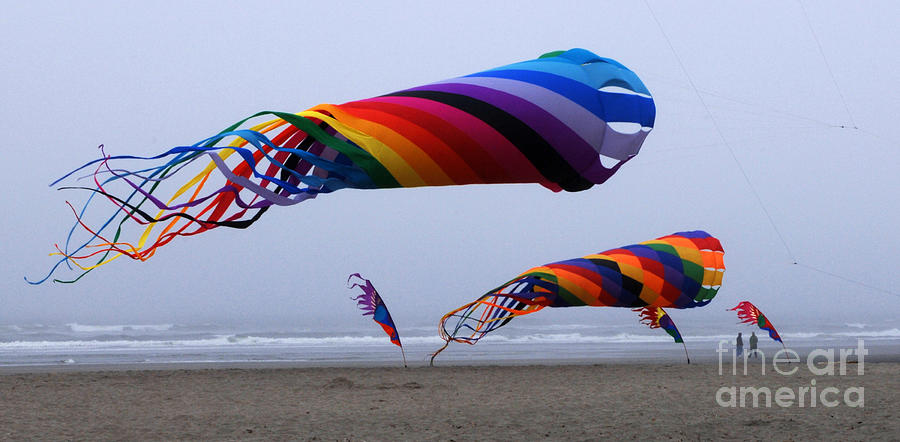 Go Fly A Kite 9 Photograph by Bob Christopher