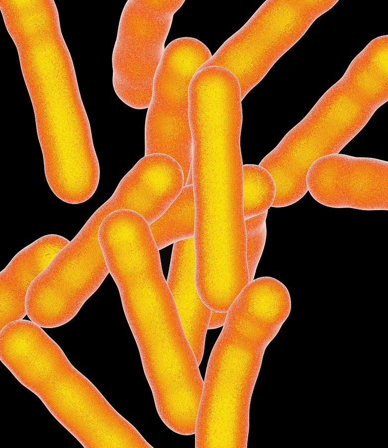 Tuberculosis Bacteria Artwork Photograph By Mehau Kulyk Fine Art America