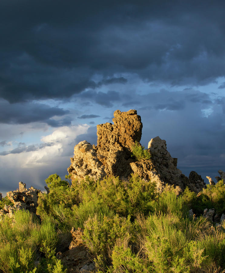 Tufa Formations At Mono Lake - California by Brendan Reals