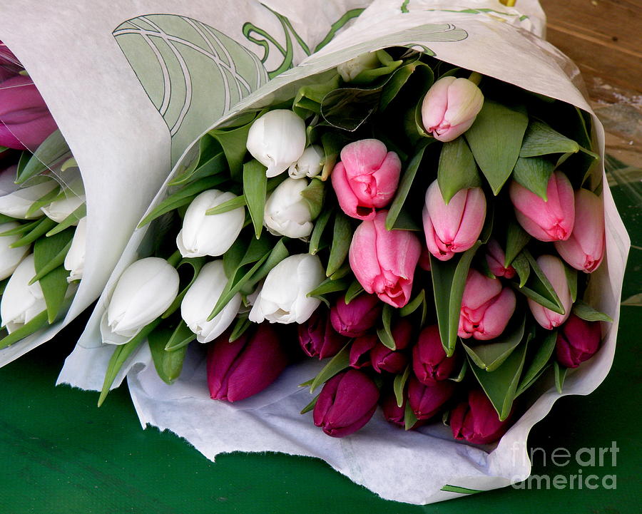 Tulip Bouquet  Photograph by Lainie Wrightson
