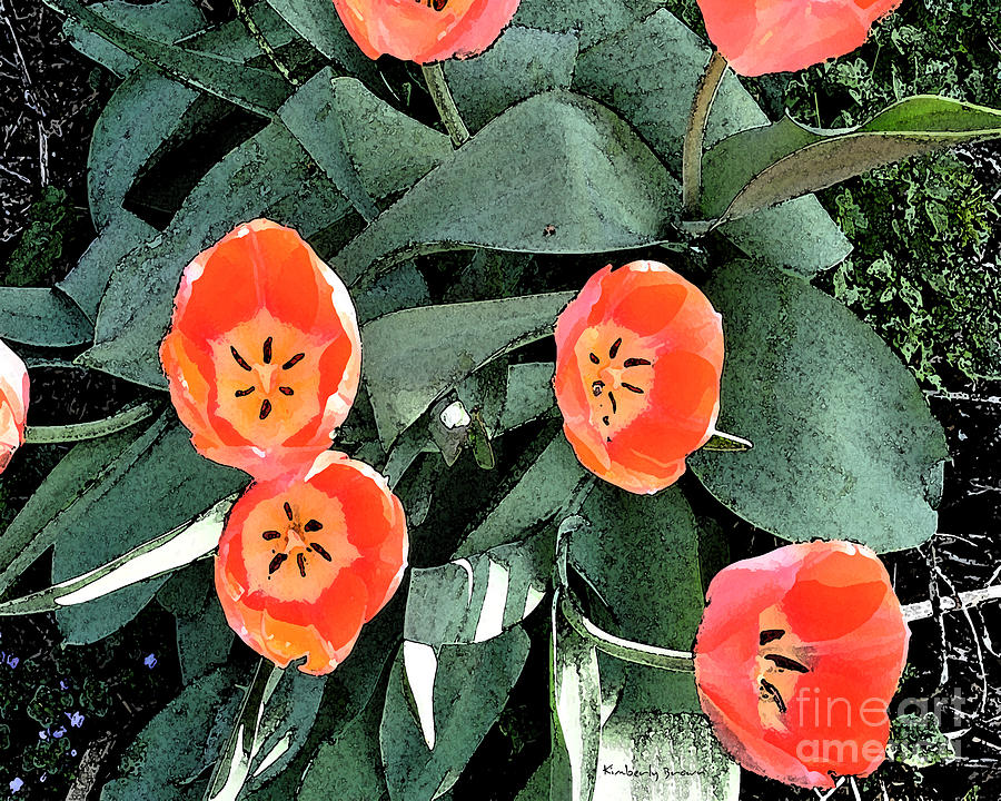 Nature Mixed Media - Tulip Fest by Kimberly  Brown