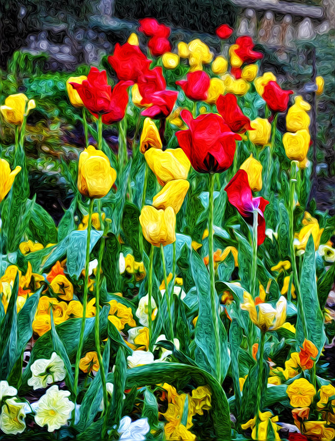 Tulip Garden Photograph by Bill Cannon