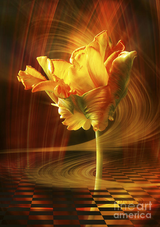 Tulip in movement Digital Art by Johnny Hildingsson