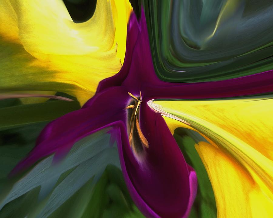 Tulip Petal Stretch Photograph by Rene Crystal