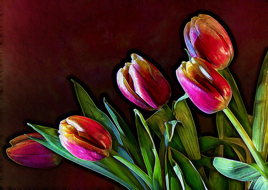 Tulip Traced Incandescence Photograph by Bill and Linda Tiepelman Tulip Traced Incandescence Photograph by Bill and Linda Tiepelman
