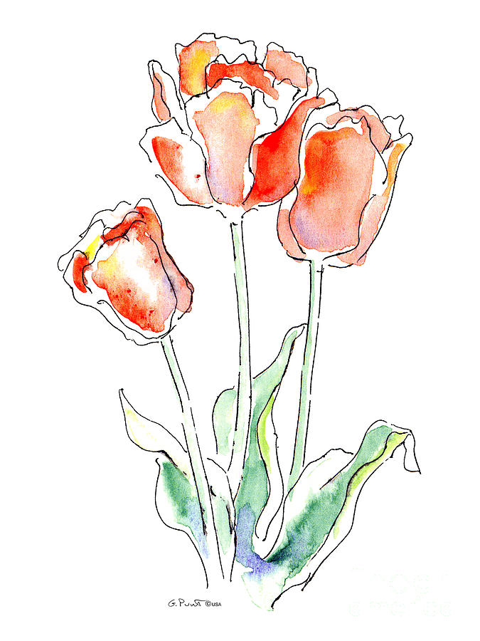 Tulip Pen Sketch, Original Drawing, Pen and Ink, Tulip Drawing, Tulip  Flower, Flower Drawings 