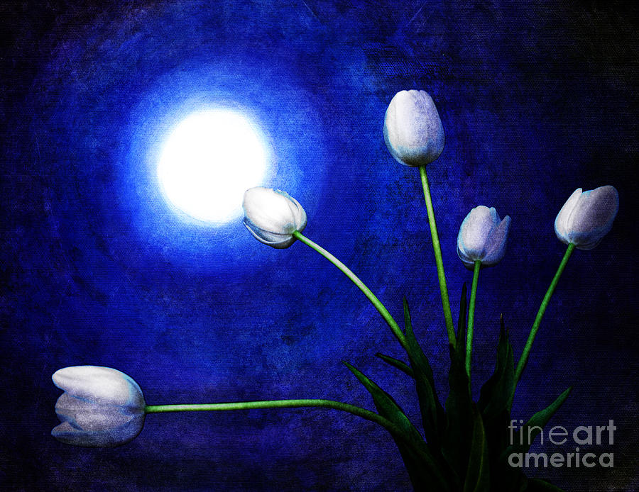 Tulips in Blue Moonlight Digital Art by Laura Iverson