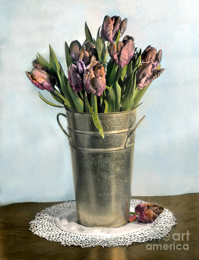 Tulip Photograph - Tulips In Metal Vase by Jill Battaglia