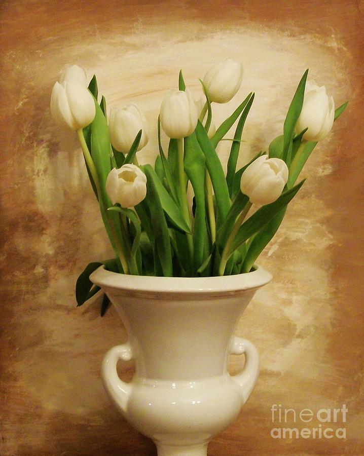 Tulips in Wedding White Photograph by Marsha Heiken