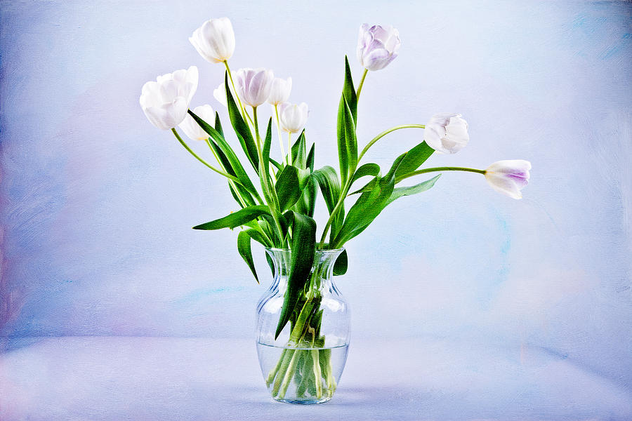 Tulips No. 327 Photograph by James Bethanis