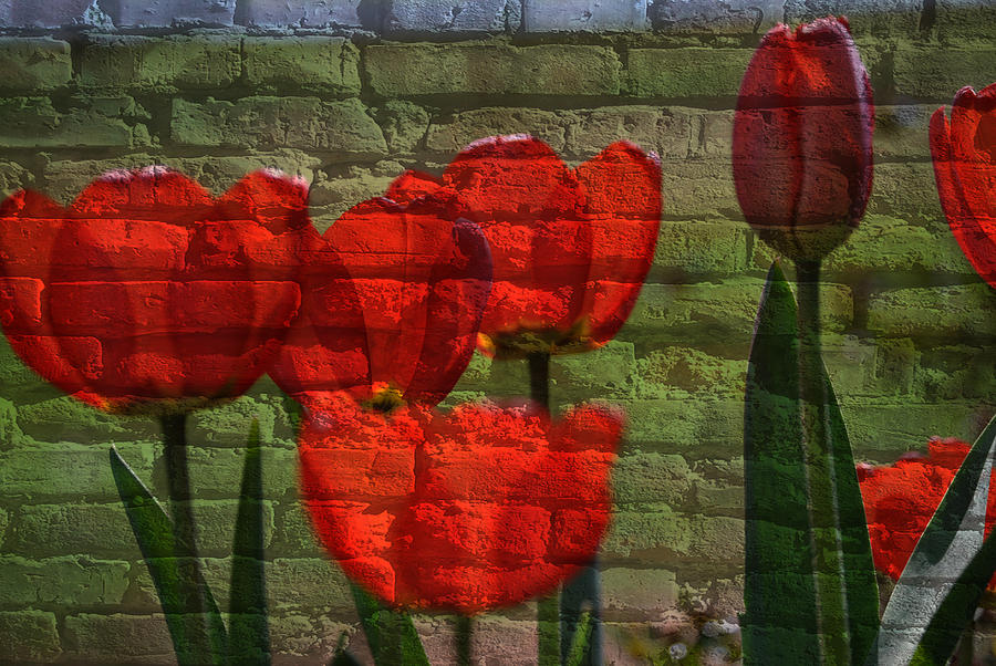 Tulips on Bricks Mixed Media by Eric Liller