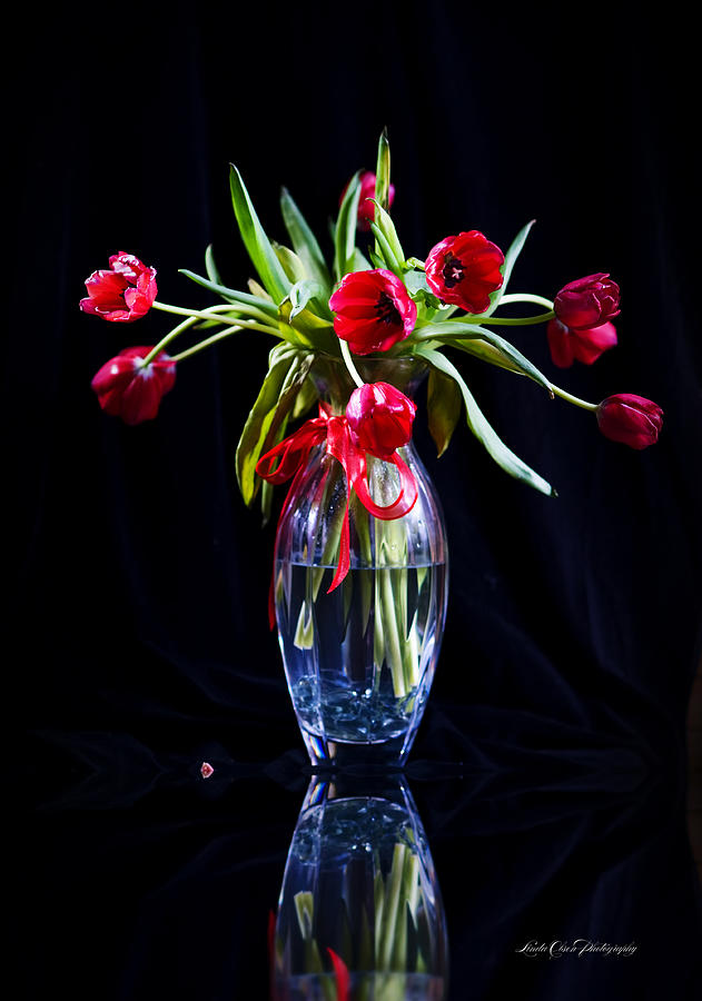 Tulips Radiance Photograph by Linda Olsen