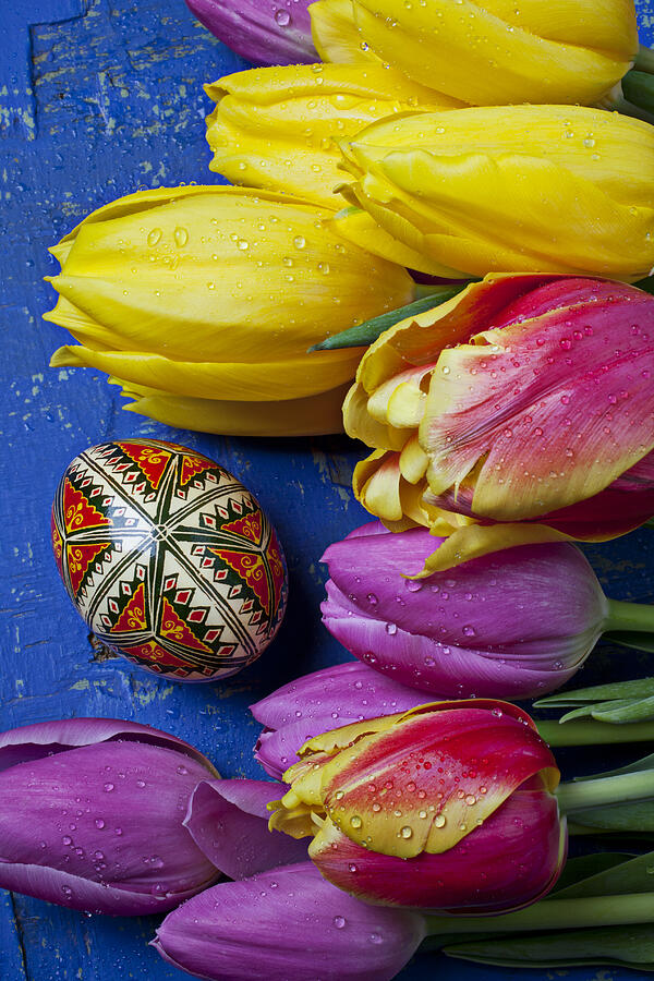 Tulips with Easter egg Photograph by Garry Gay