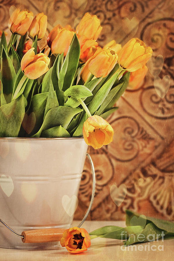 Tulips with vintage grunge background Photograph by Sandra Cunningham