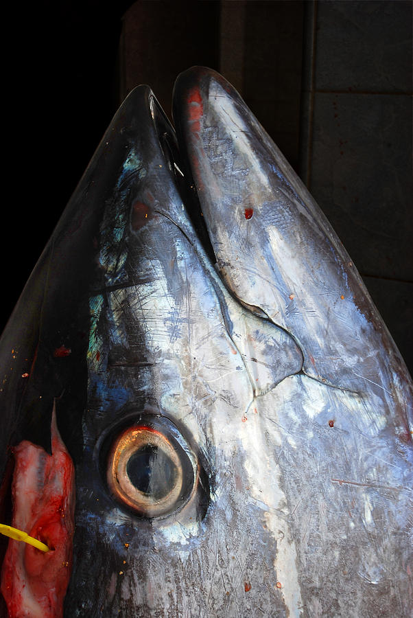 Tuna head at fish market Photograph by Perry Van Munster