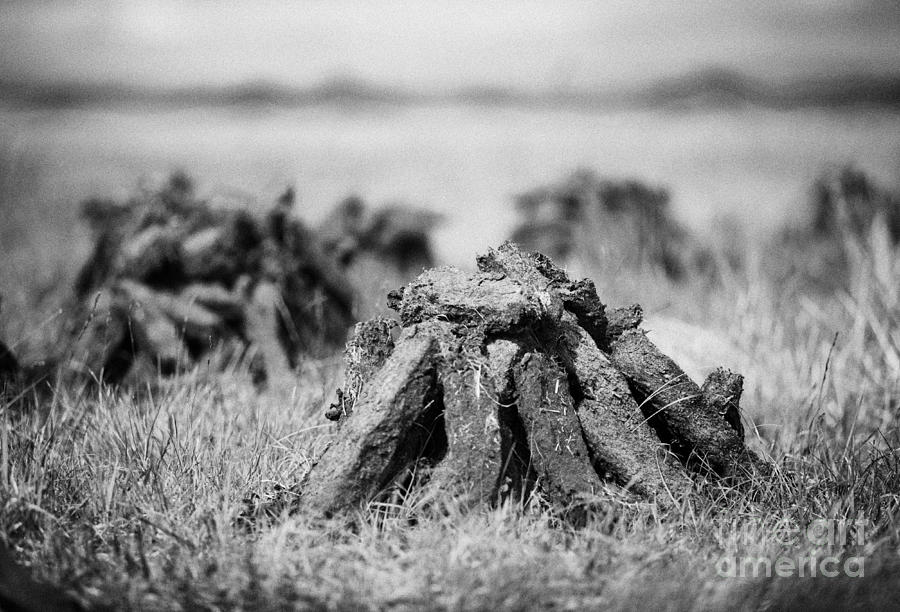 Landscape Photograph - Turf Peat Stacked For Drying On The Bog In Ireland by Joe Fox