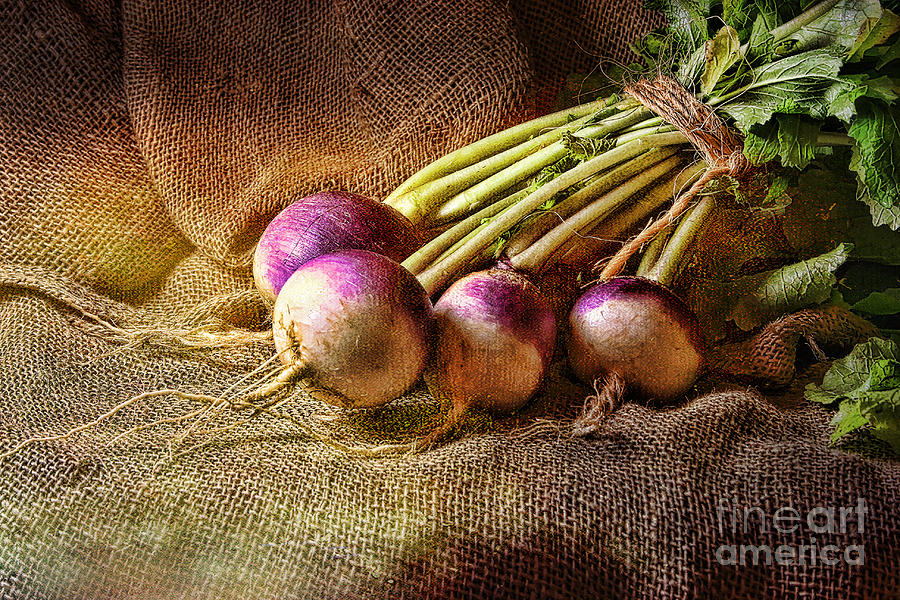 Turnips Photograph by Sari Sauls