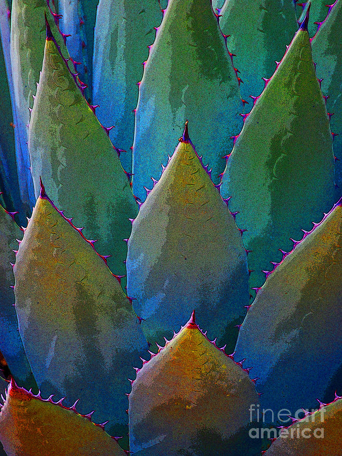 Turquoise Agave Photograph by Victoria Page