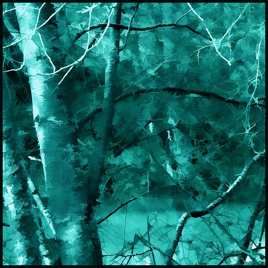 Turquoise Branches Photograph by Bonnie Bruno