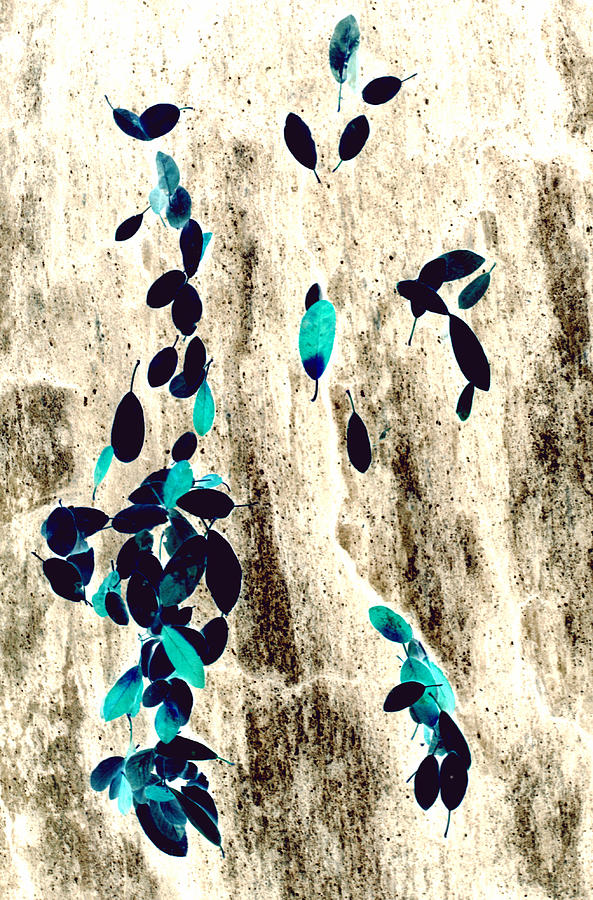 Turquoise  Leaves on A Rock Photograph by Tom Wurl