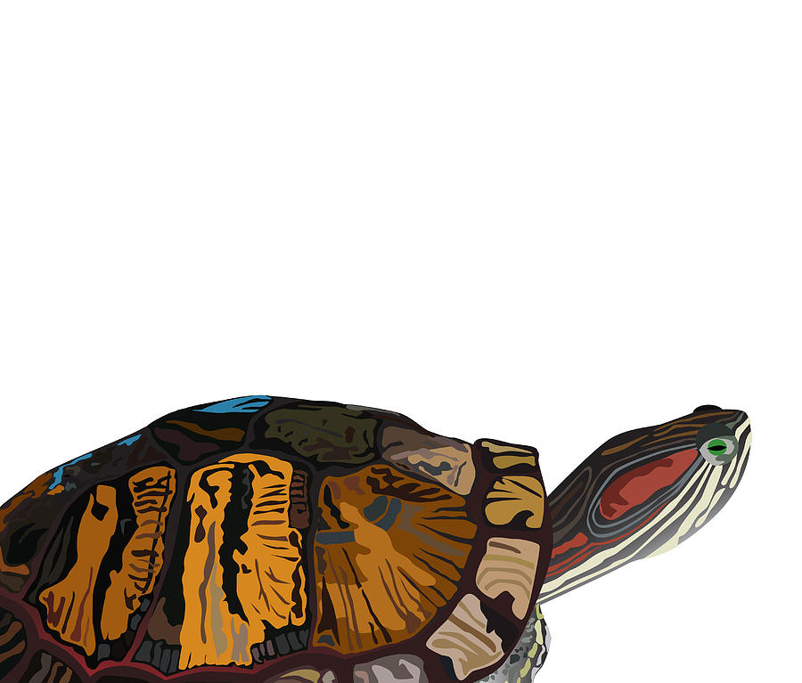 Turtle Art Drawing Digital Art by Nichakul Khietkitthawat - Pixels