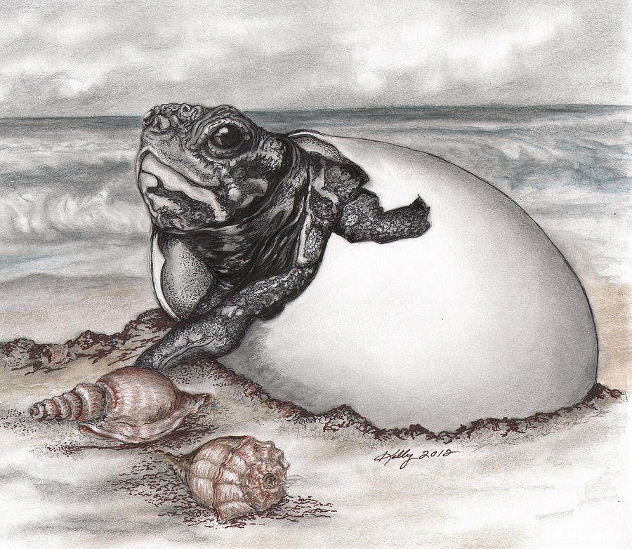 Turtle Beach Drawing by Kathleen Kelly Thompson