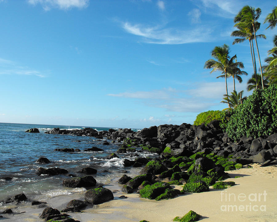 Turtle Beach Oahu Hawaii Photograph
