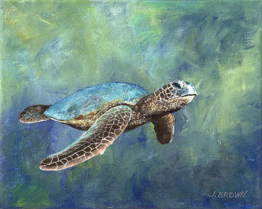 Turtle Crush Painting by John Brown - Pixels