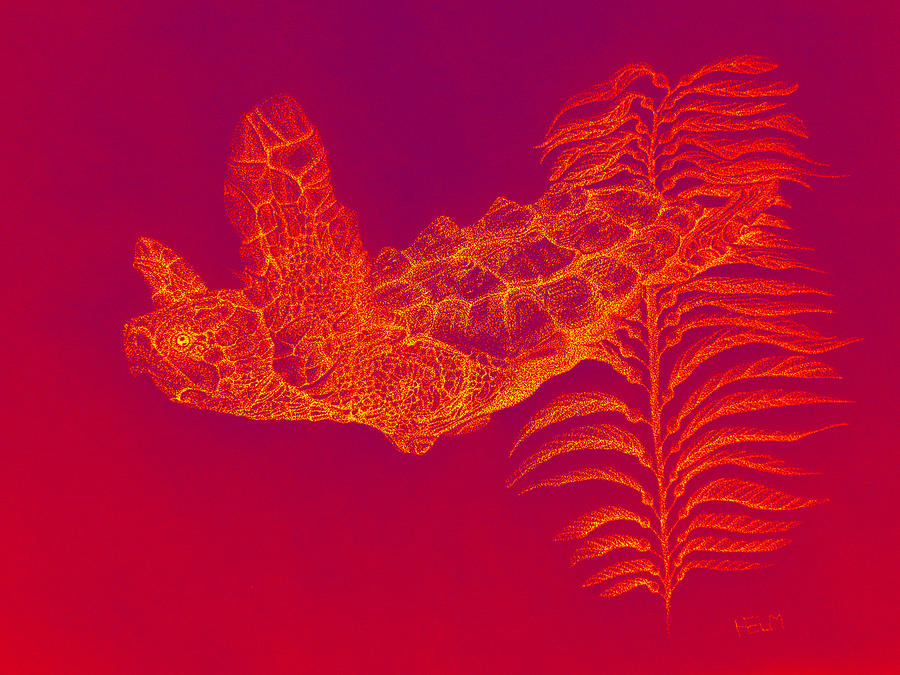 Turtle on Fire Digital Art by Mayhem Mediums