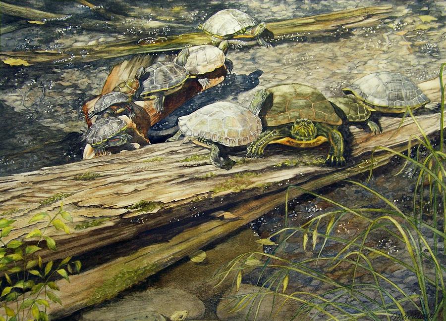 Turtle Pond Painting by Lynda Lawrence - Fine Art America
