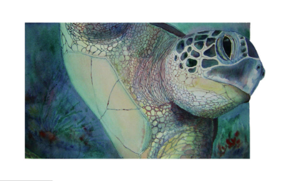 Turtle30912 Painting By Carmen Durden 