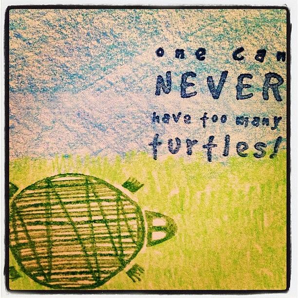 Turtle Photograph - Turtles For My Mom In Law. #turtles by Amanda Howell