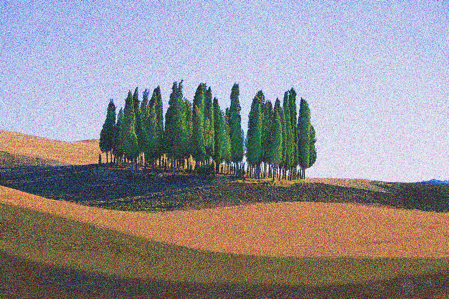 Tuscan Trees Photograph by T R Maines