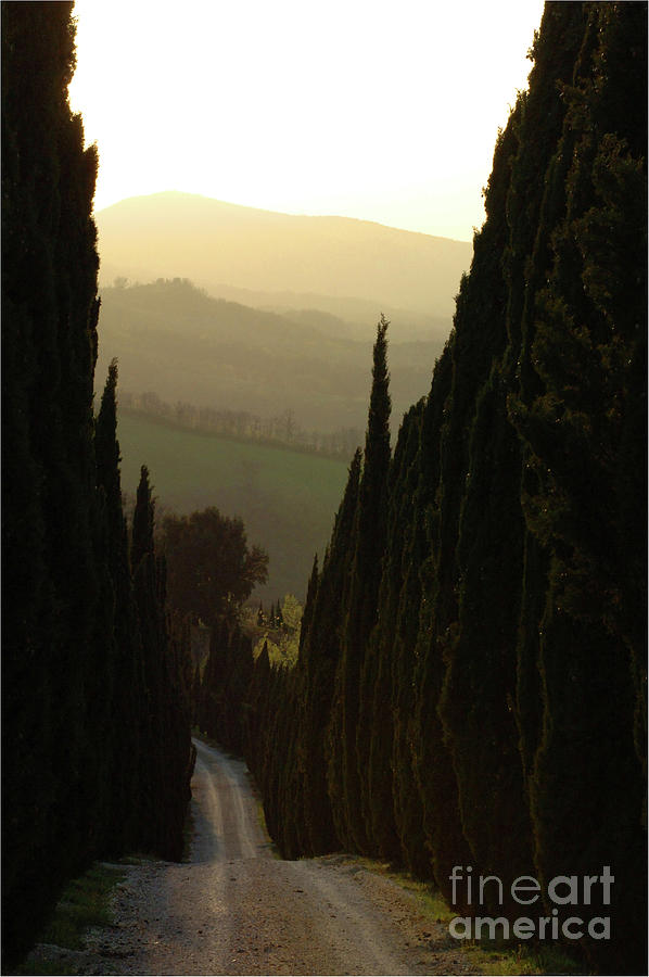 Tuscany Twilight Photograph by Bob Christopher