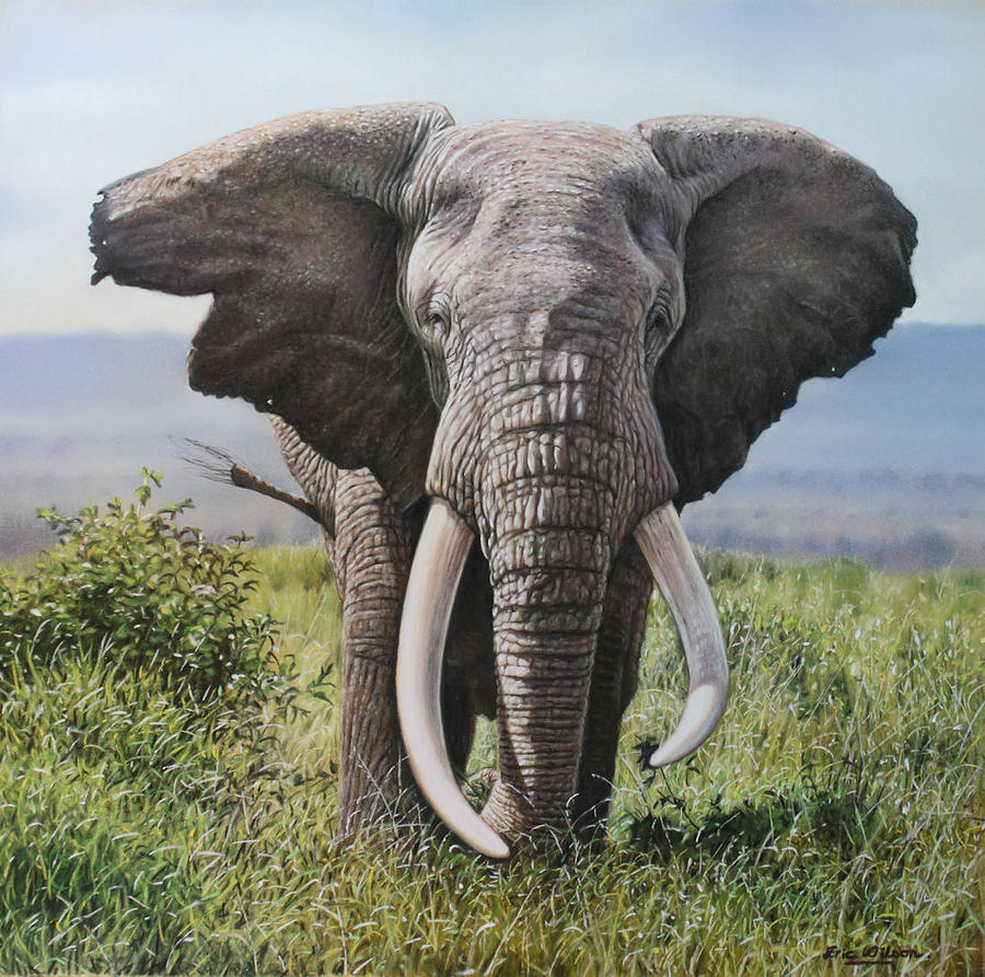 Tusker Painting by Eric Wilson - Fine Art America