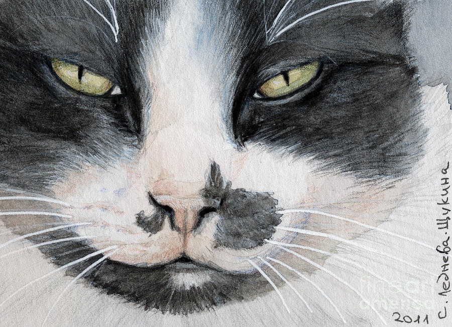 Tuxedo cat Painting by Svetlana Ledneva-Schukina