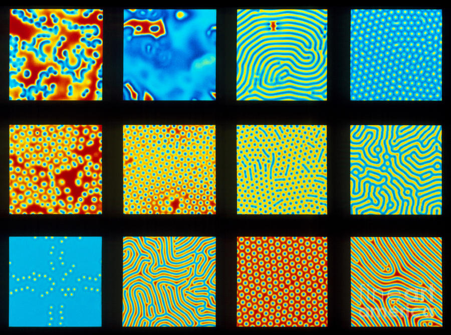 Twelve Self-replicating Chemical Photograph by Los Alamos National Laboratory
