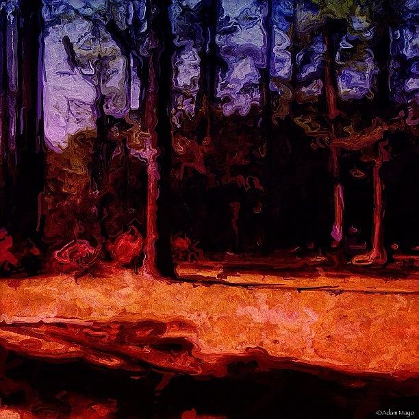 Instagrammer Photograph - Twilight Forest - Hurry Home As The by Photography By Boopero