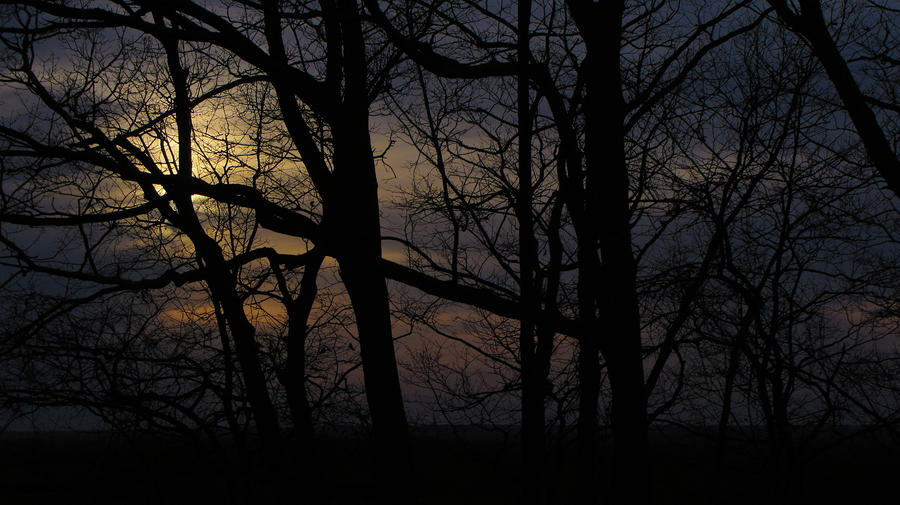 Twilight Photograph by Jessica Brawley
