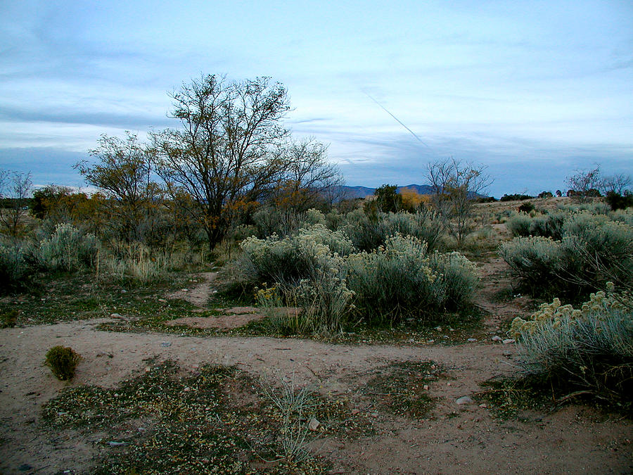 Twilight near Santa Fe Photograph by Kathleen Grace