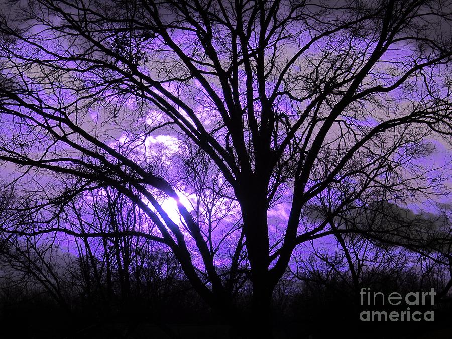 Twilights Last Gleaming - Dusk Photograph by Susan Carella