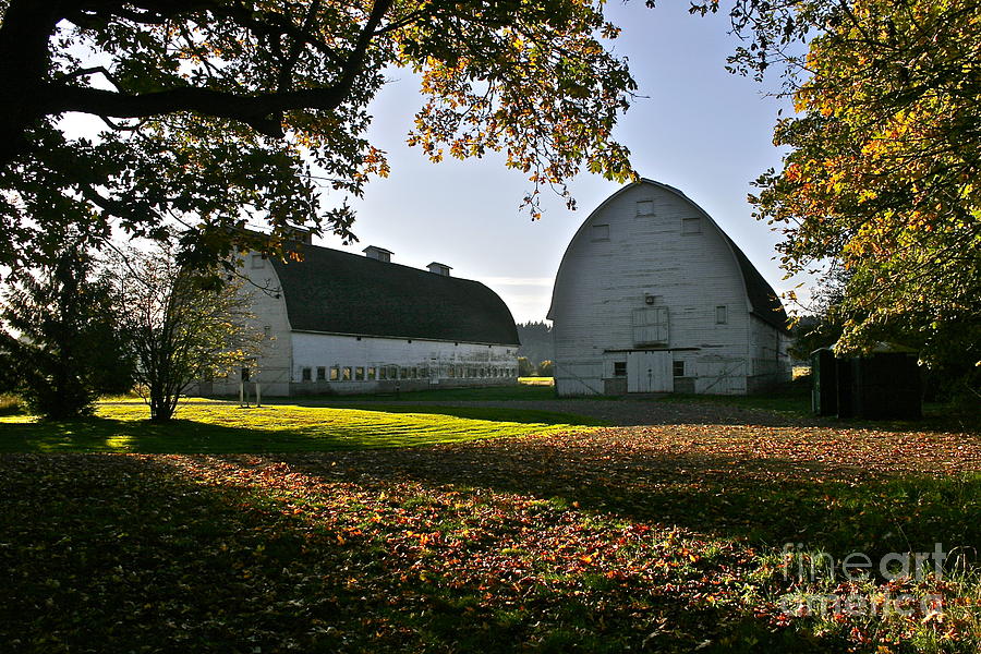 Twin Barns on an Autumn Afternoon Photograph by Sean Griffin