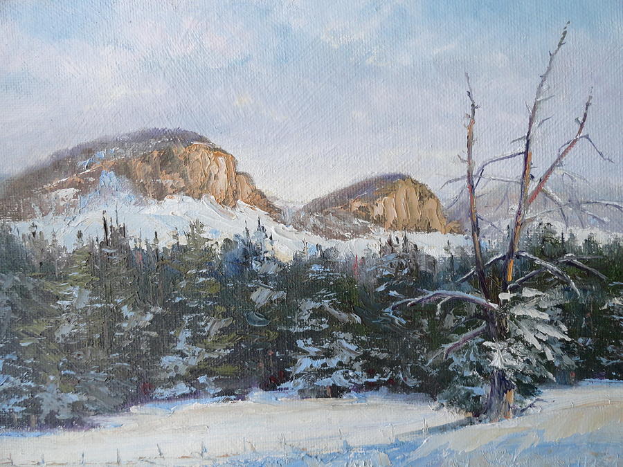 Twin Buttes Wyoming 2 Painting by Judy Fischer Walton