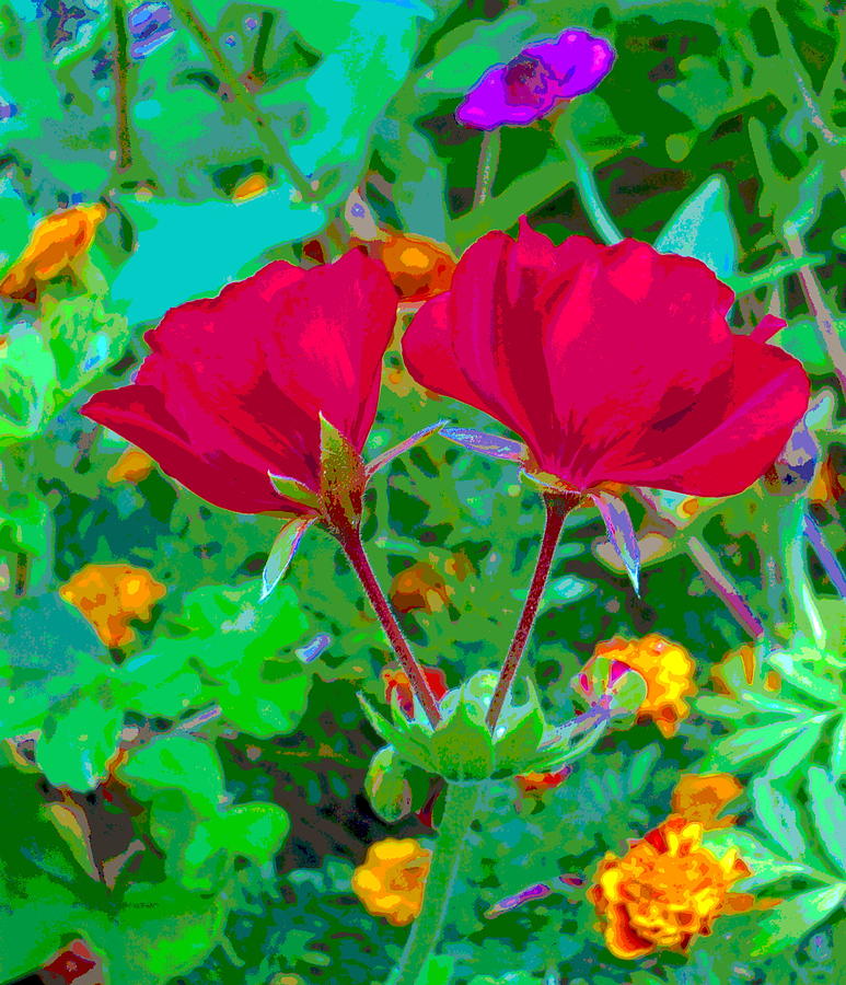 Twin Geraniums with Marigold Flowers Photograph by Padre Art