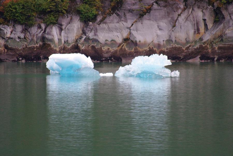 Twin Icebergs Photograph by Marilyn Wilson