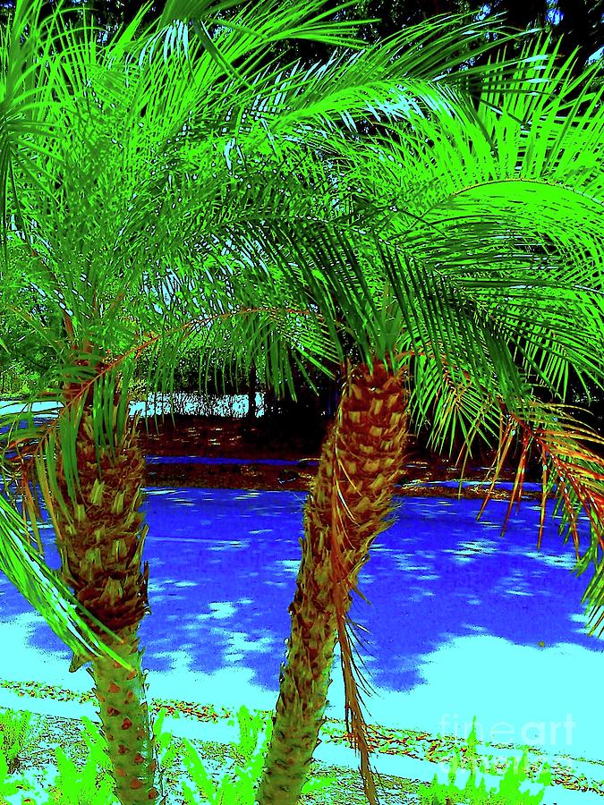 Tree Digital Art - Twin Palms 2 by Nina Kaye