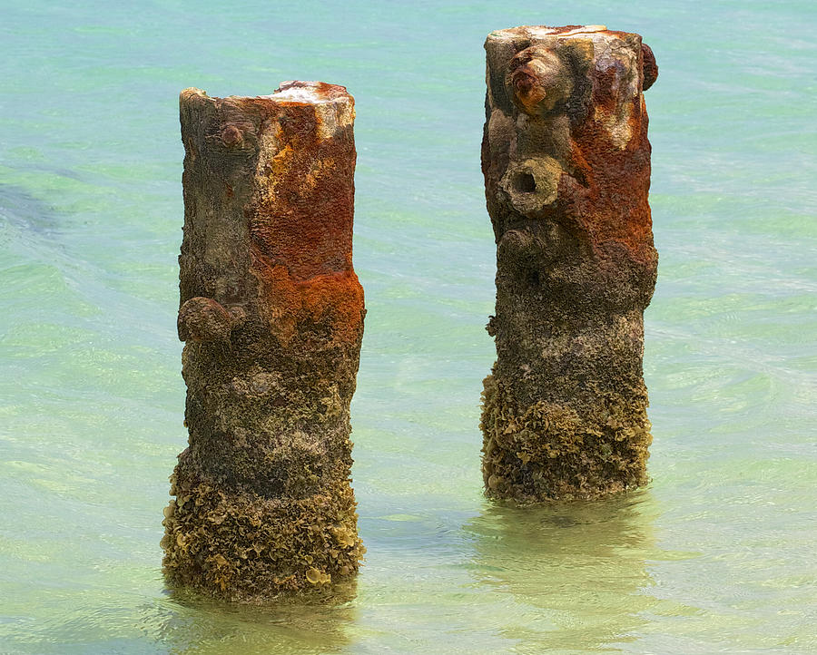 Twin Rusted Dock Piers of the Caribbean II Photograph by David Letts