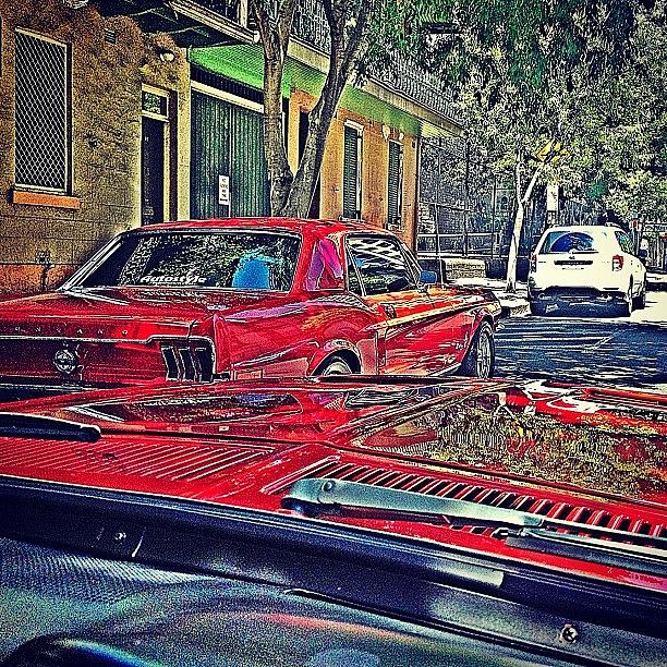 Pony Photograph - Twins! Out In Big Red. #mustang #pony by Emily Hames